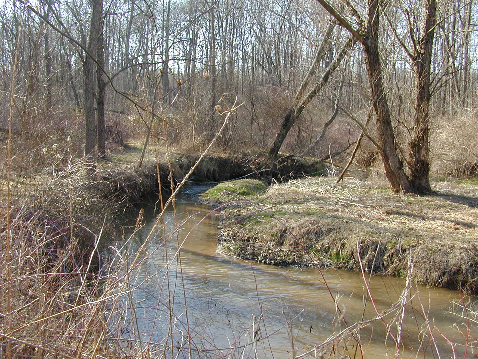 Field photo showing stream conditions at site DOUB-221-R-2002-2