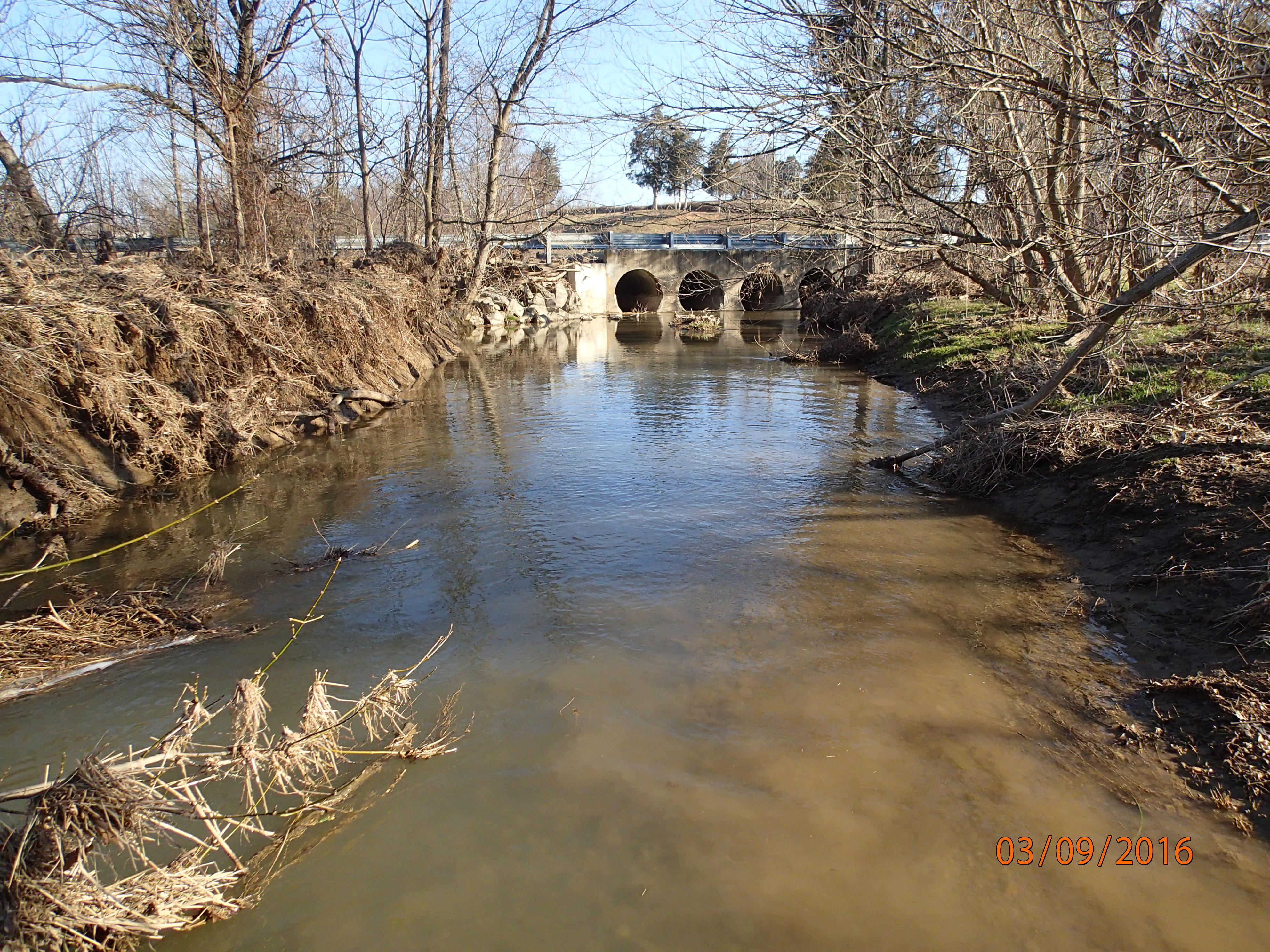 Field photo showing stream conditions at site DOUB-225-R-2016-MidpointDownstream