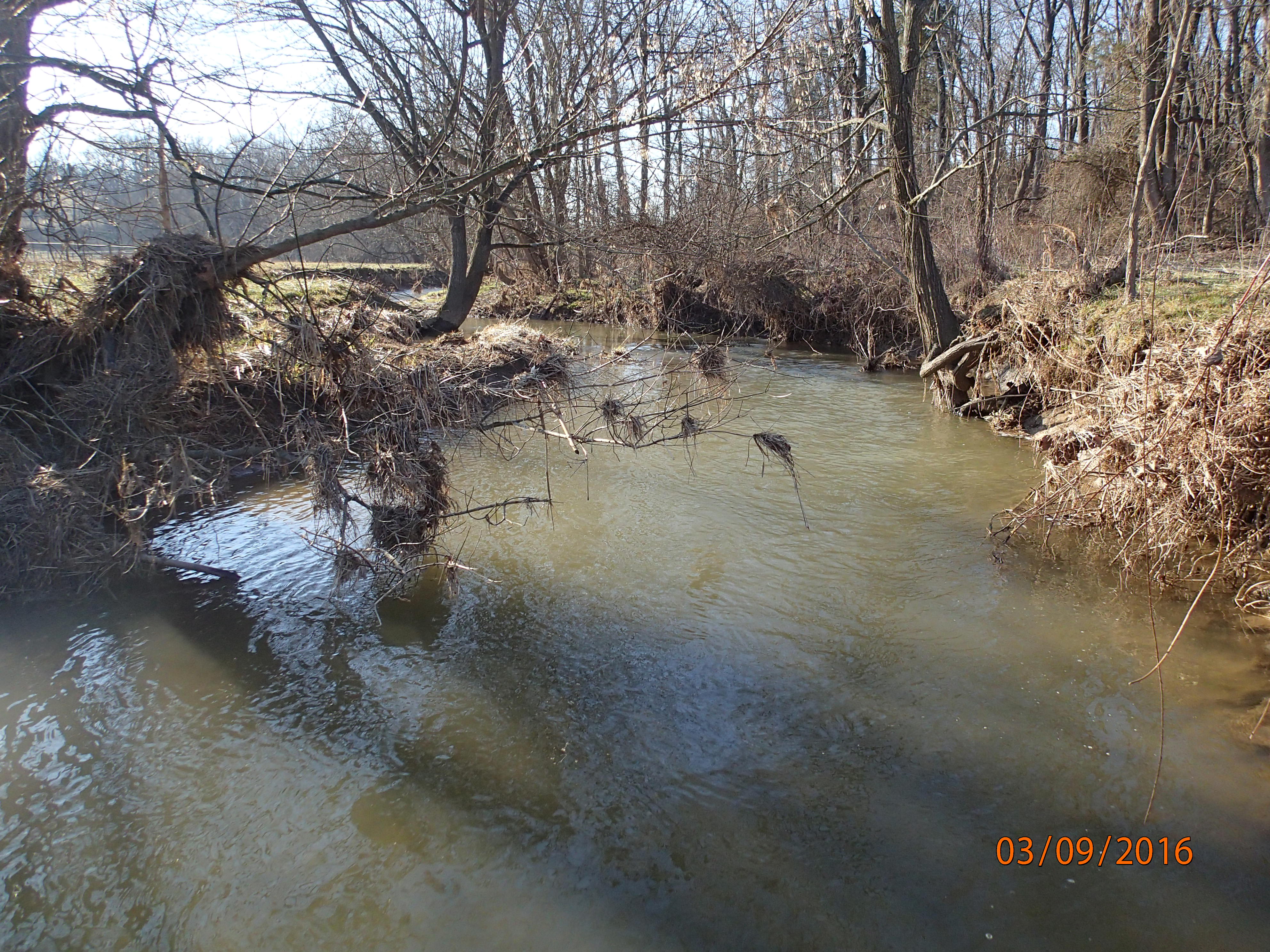 Field photo showing stream conditions at site DOUB-225-R-2016-MidpointUpstream