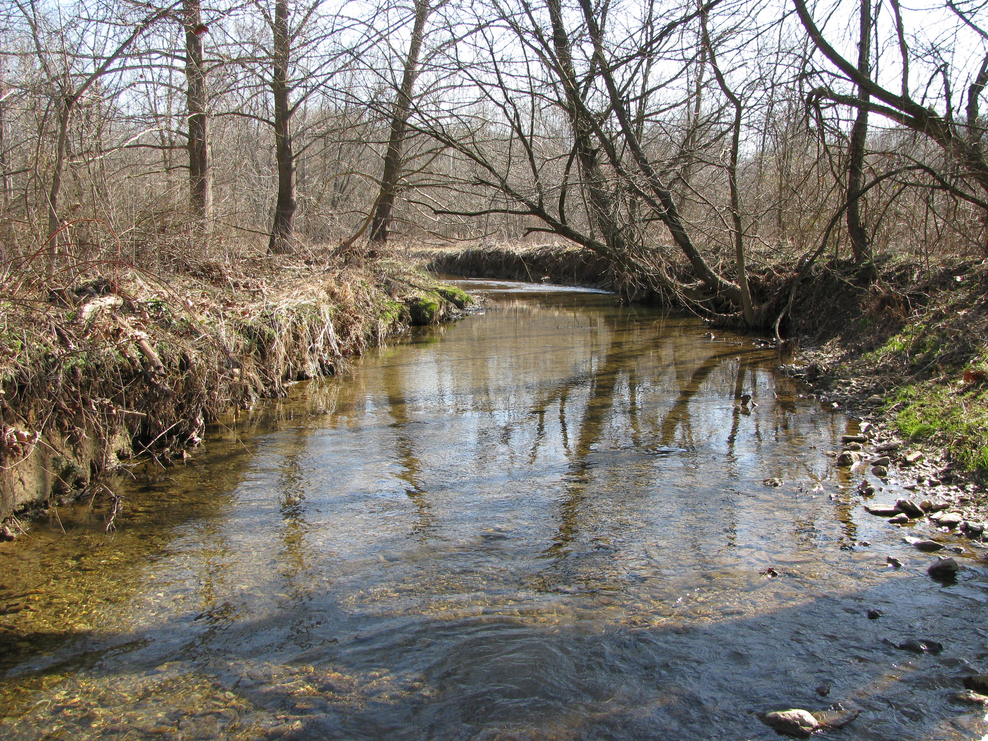 Field photo showing stream conditions at site DOUB-296-B-2012-1