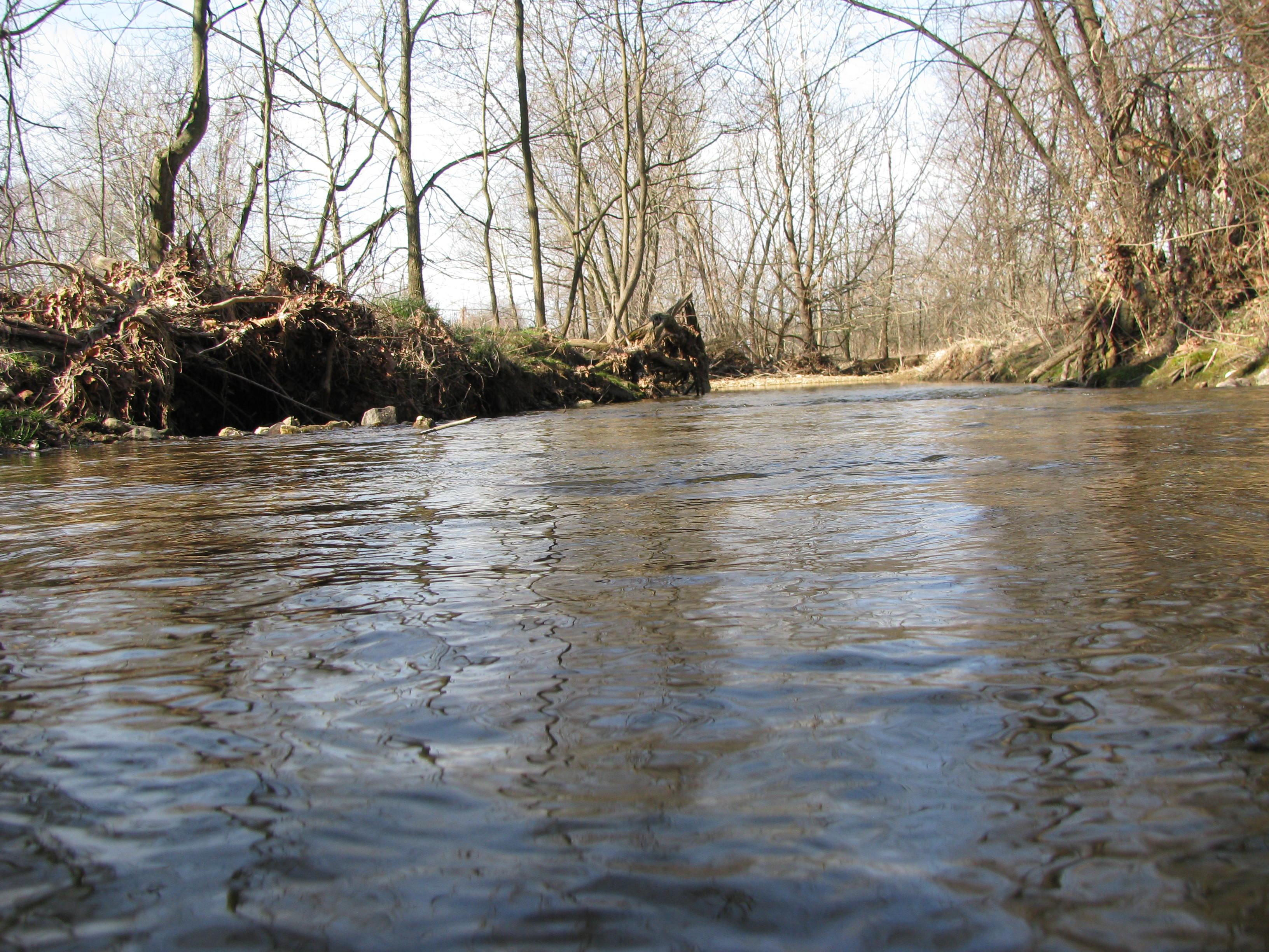 Field photo showing stream conditions at site DOUB-296-B-2012-2