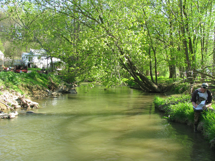 Field photo showing stream conditions at site DOUB-314-H-2010-1