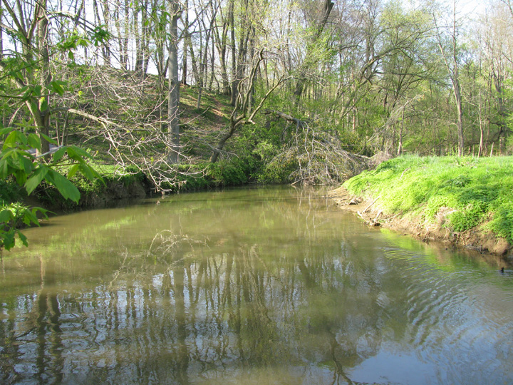 Field photo showing stream conditions at site DOUB-314-H-2010-2