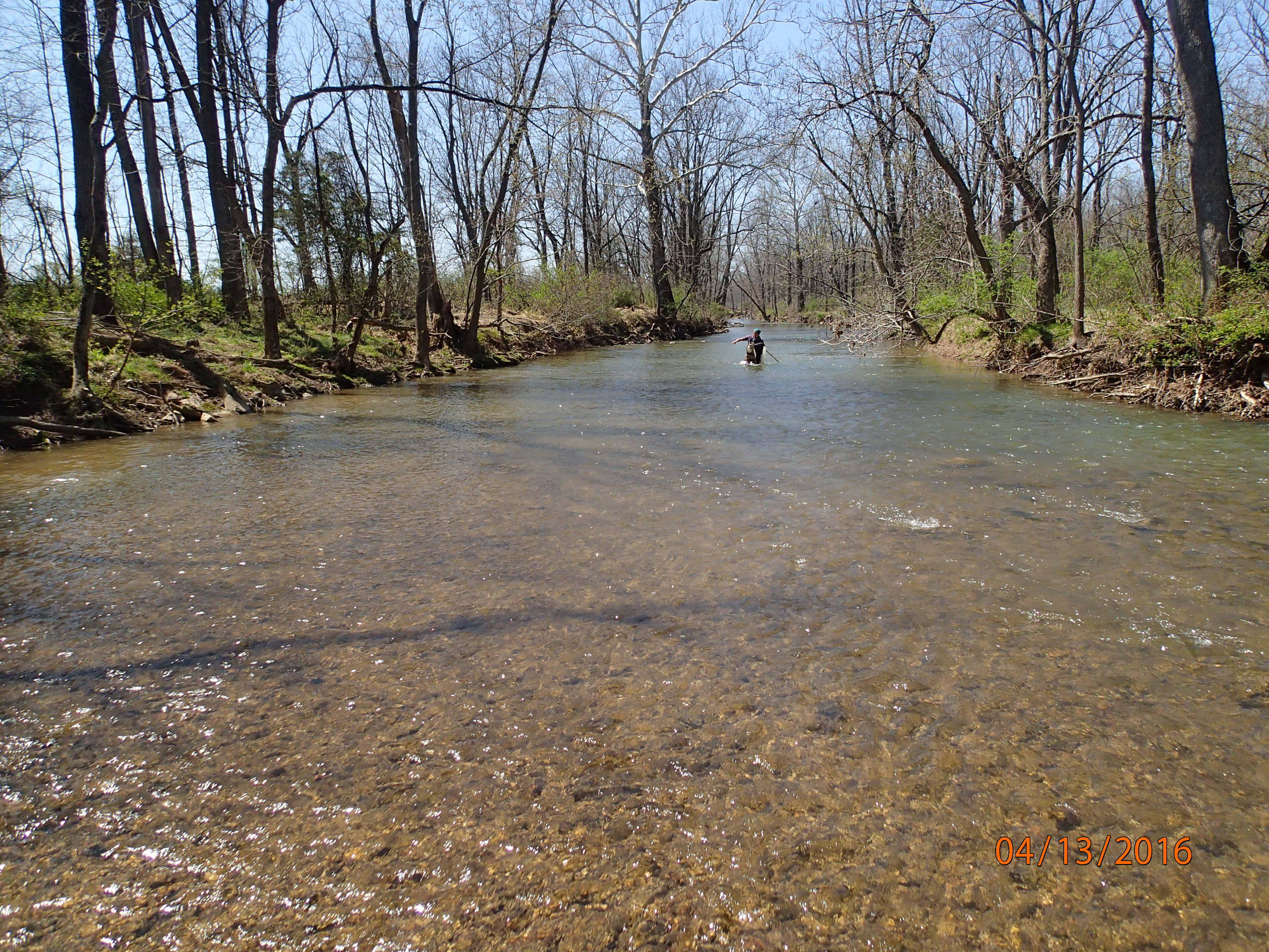 Field photo showing stream conditions at site DOUB-319-R-2016-MidpoiintDownstream