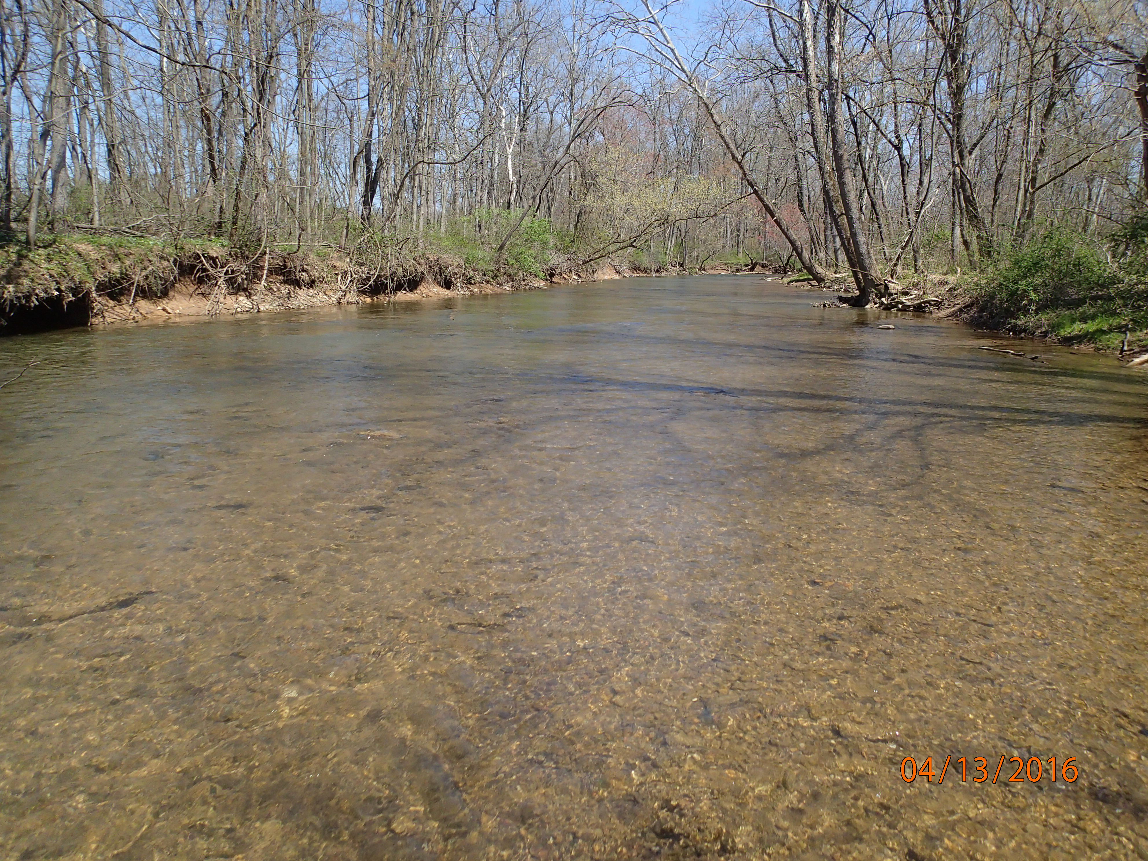 Field photo showing stream conditions at site DOUB-319-R-2016-MidpointUpstream
