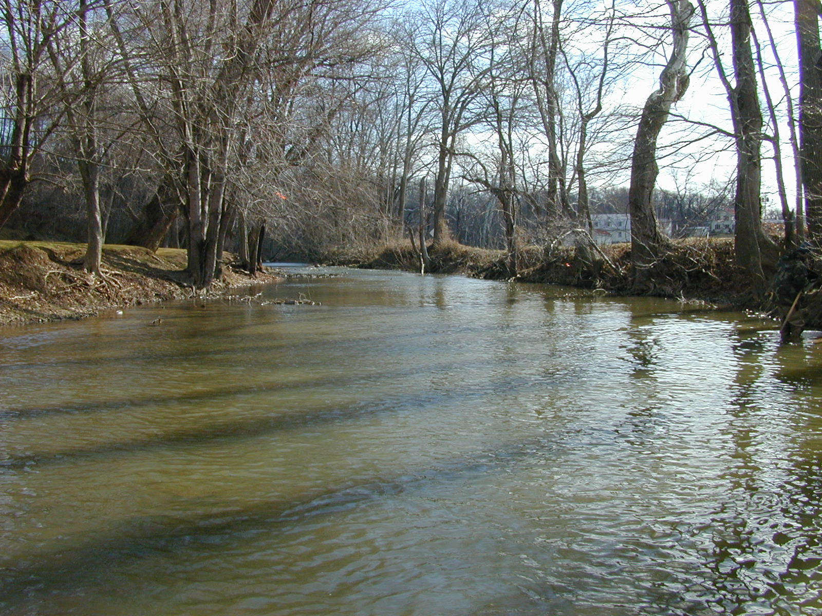 Field photo showing stream conditions at site DOUB-404-R-2002-1