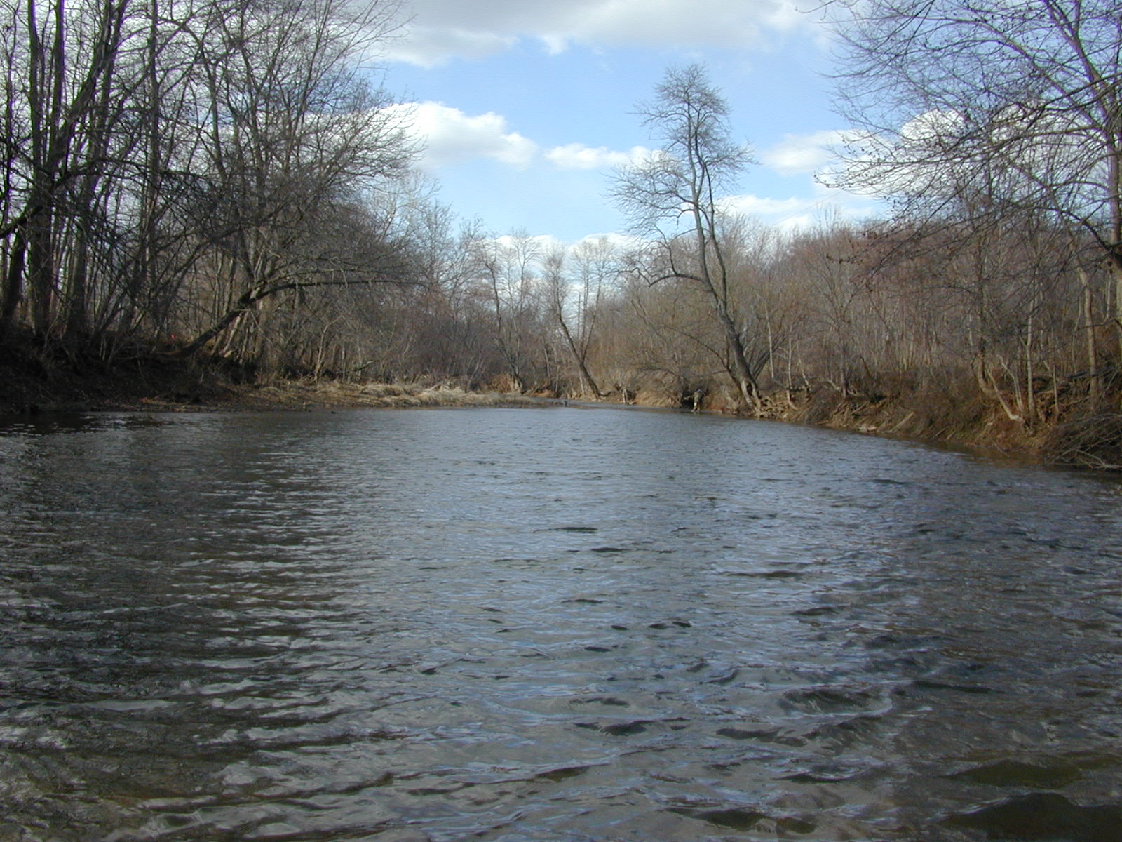 Field photo showing stream conditions at site DOUB-407-R-2002-1