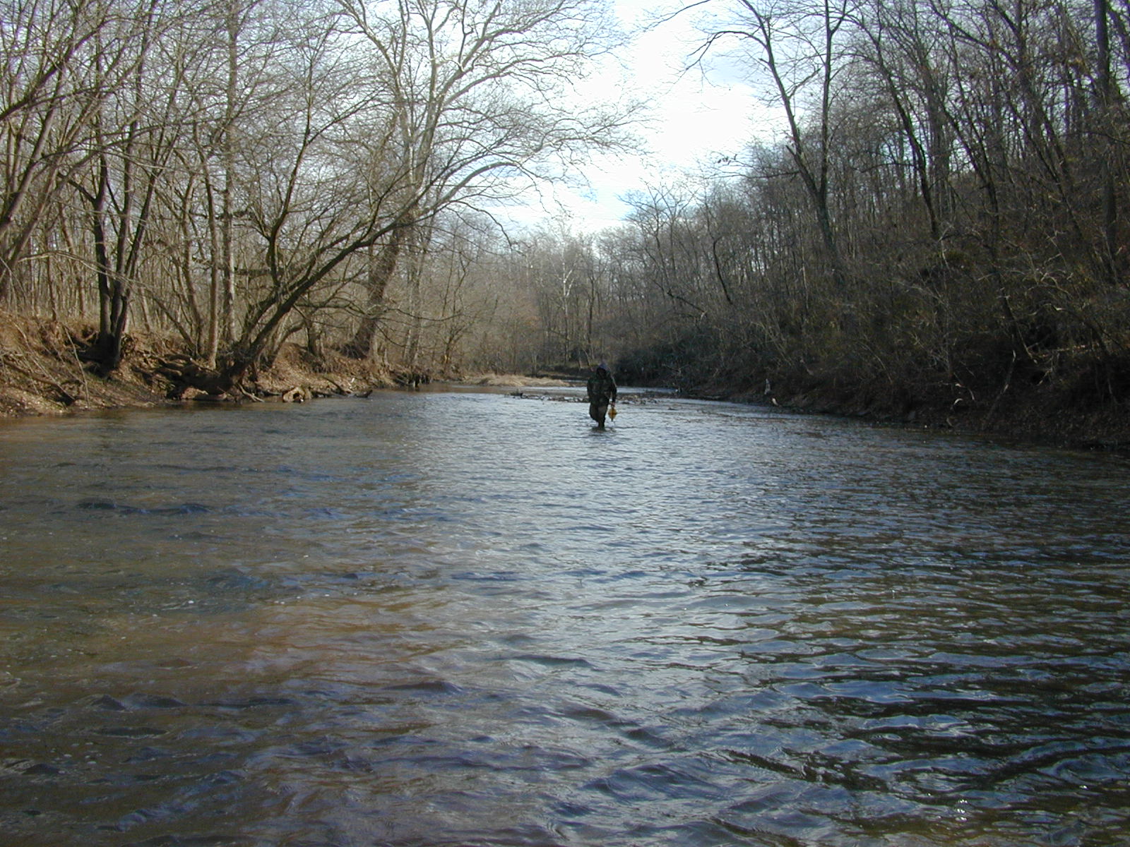 Field photo showing stream conditions at site DOUB-407-R-2002-2