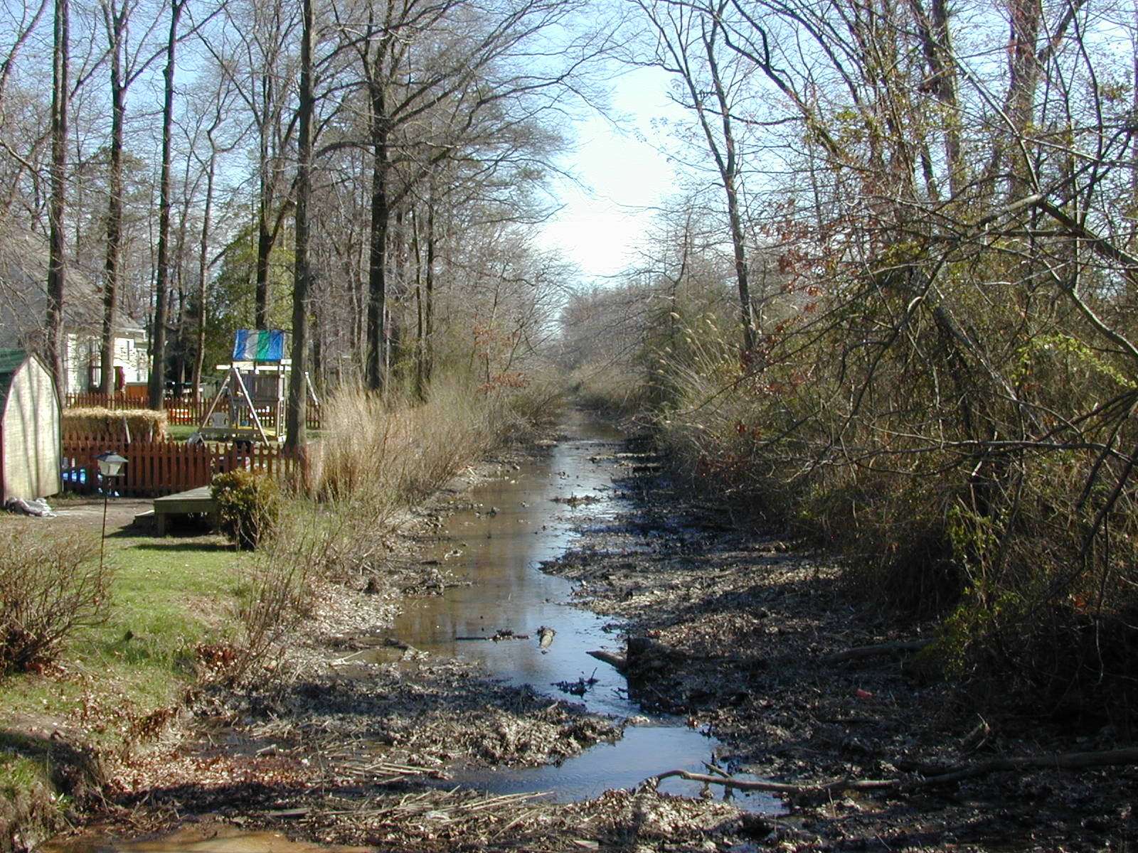 Field photo showing stream conditions at site EAST-113-R-2002-1