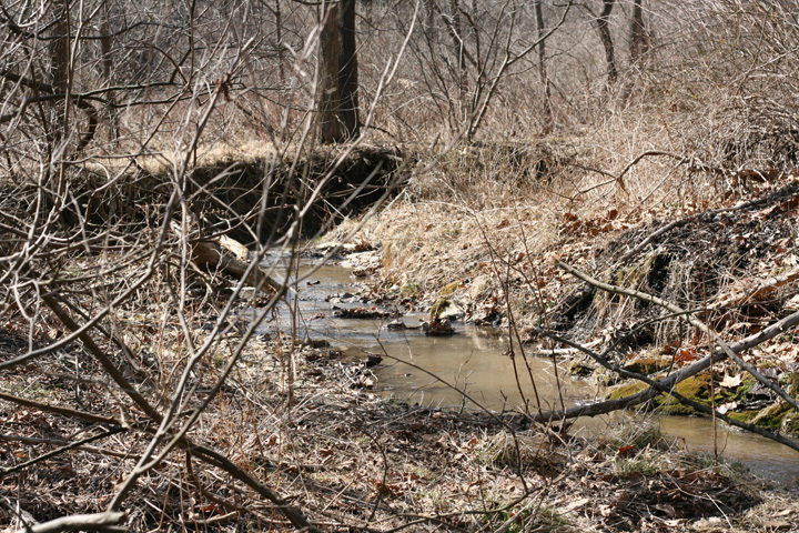 Field photo showing stream conditions at site EVIT-101-R-2009-1