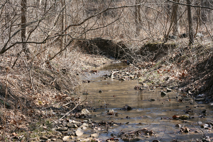 Field photo showing stream conditions at site EVIT-101-R-2009-2