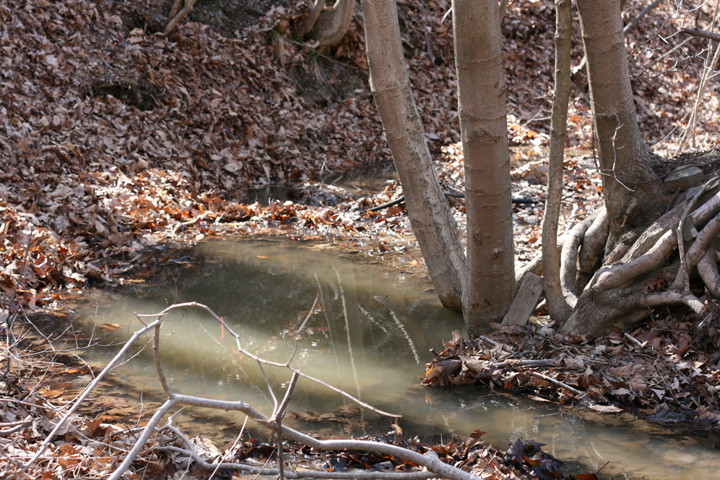 Field photo showing stream conditions at site EVIT-103-R-2009-1