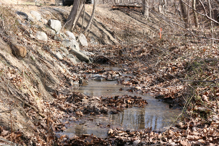 Field photo showing stream conditions at site EVIT-103-R-2009-2