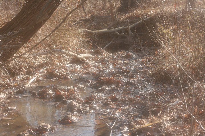Field photo showing stream conditions at site EVIT-110-R-2009-1