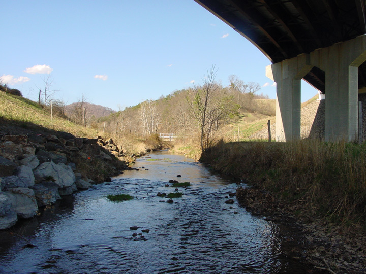 Field photo showing stream conditions at site EVIT-111-B-2007-1