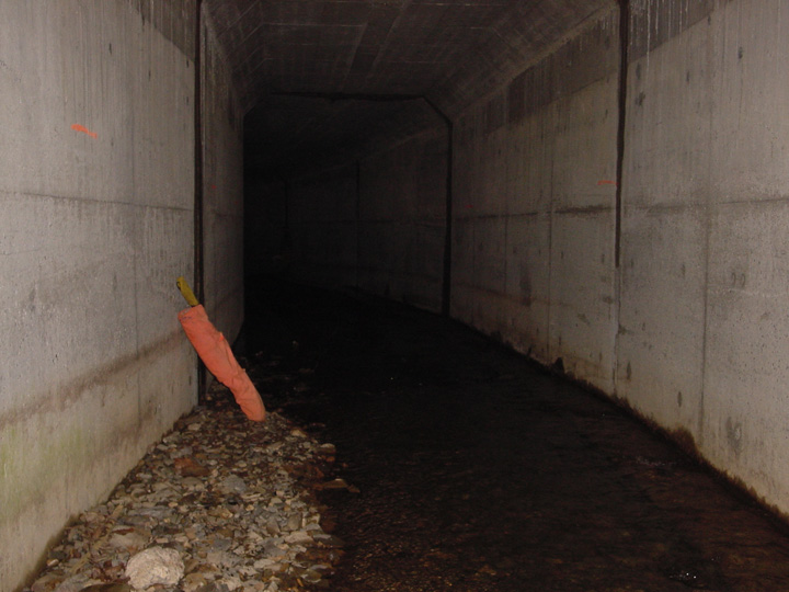 Field photo showing stream conditions at site EVIT-201-B-2007-1