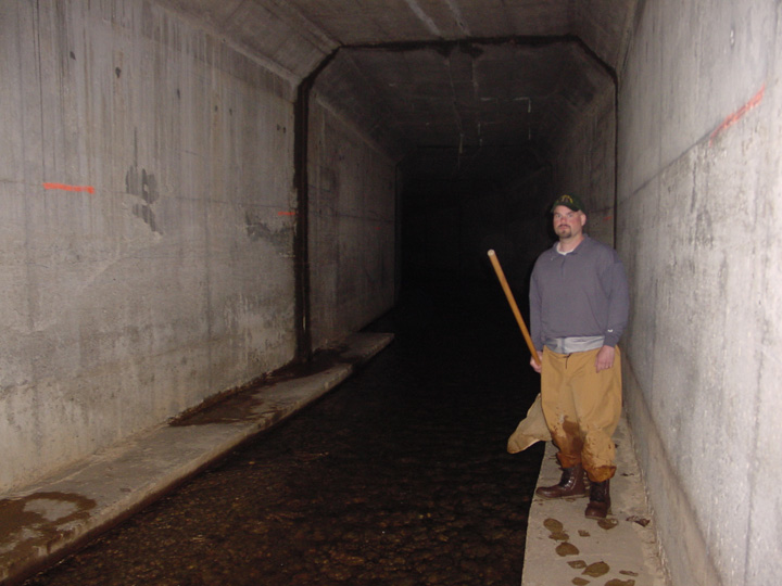 Field photo showing stream conditions at site EVIT-201-B-2007-2