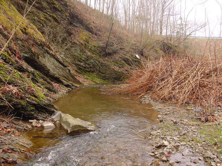 Field photo showing stream conditions at site EVIT-203-B-2007-1
