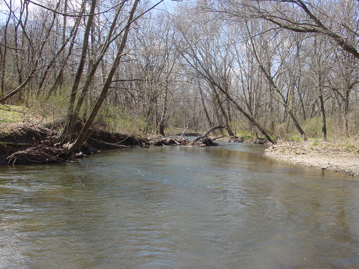 Field photo showing stream conditions at site EVIT-304-B-2007-1