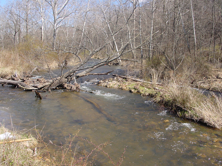 Field photo showing stream conditions at site EVIT-306-B-2007-1