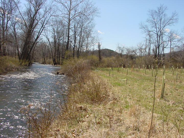 Field photo showing stream conditions at site EVIT-306-B-2007-2