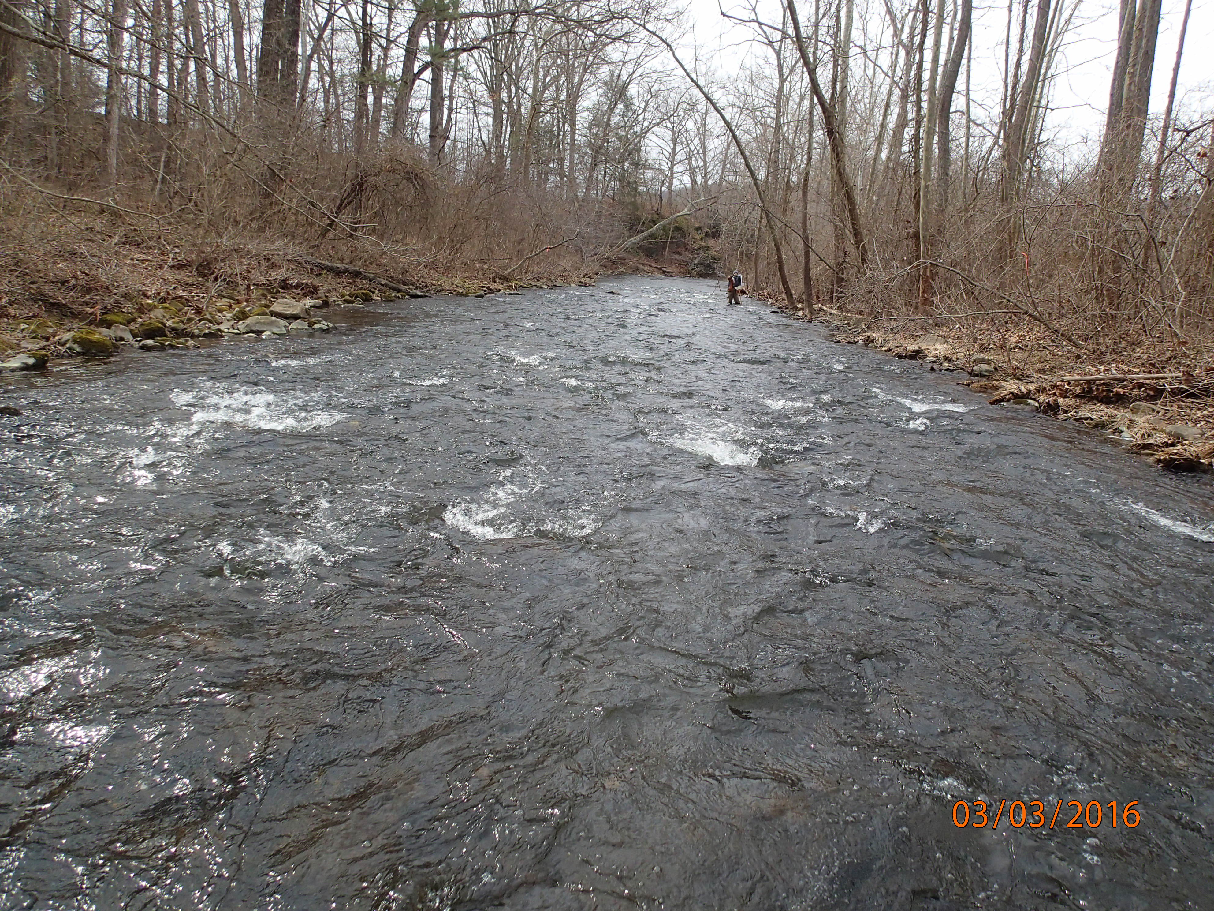 Field photo showing stream conditions at site EVIT-323-R-2016-MidpointDownstream