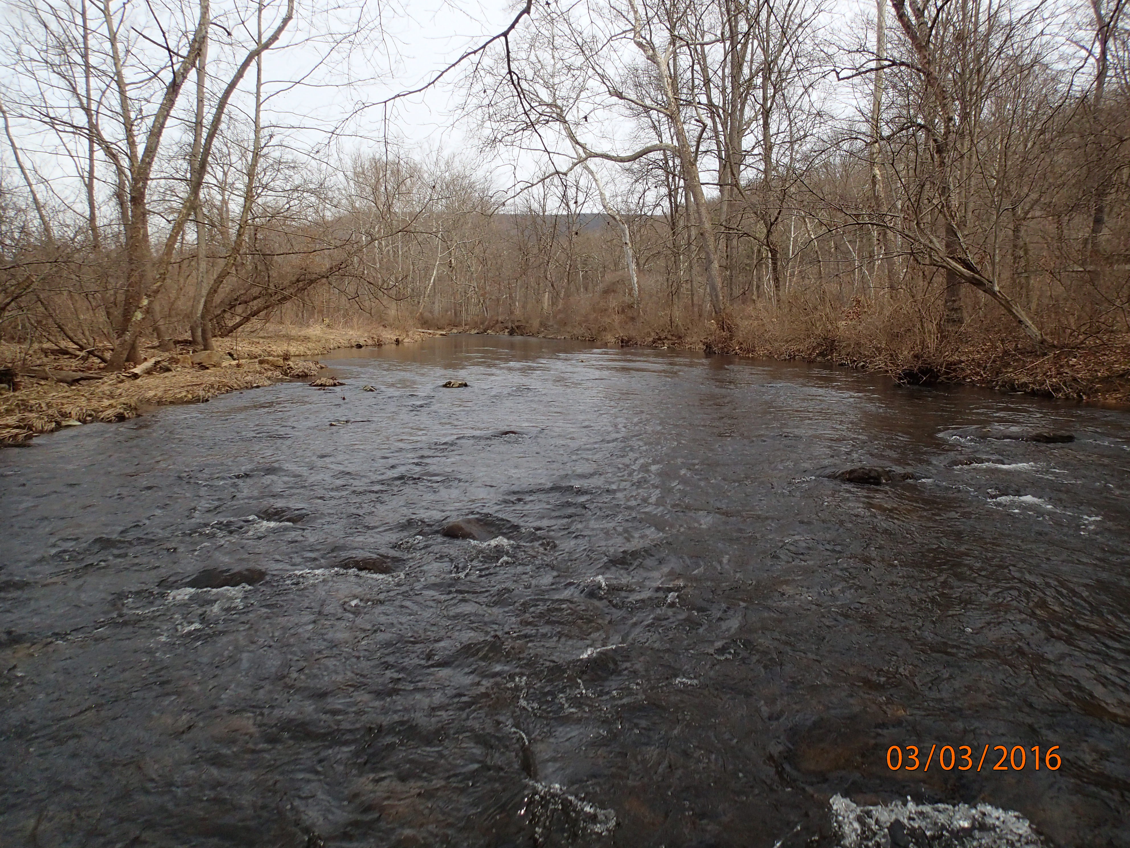 Field photo showing stream conditions at site EVIT-323-R-2016-MidpointUpstream