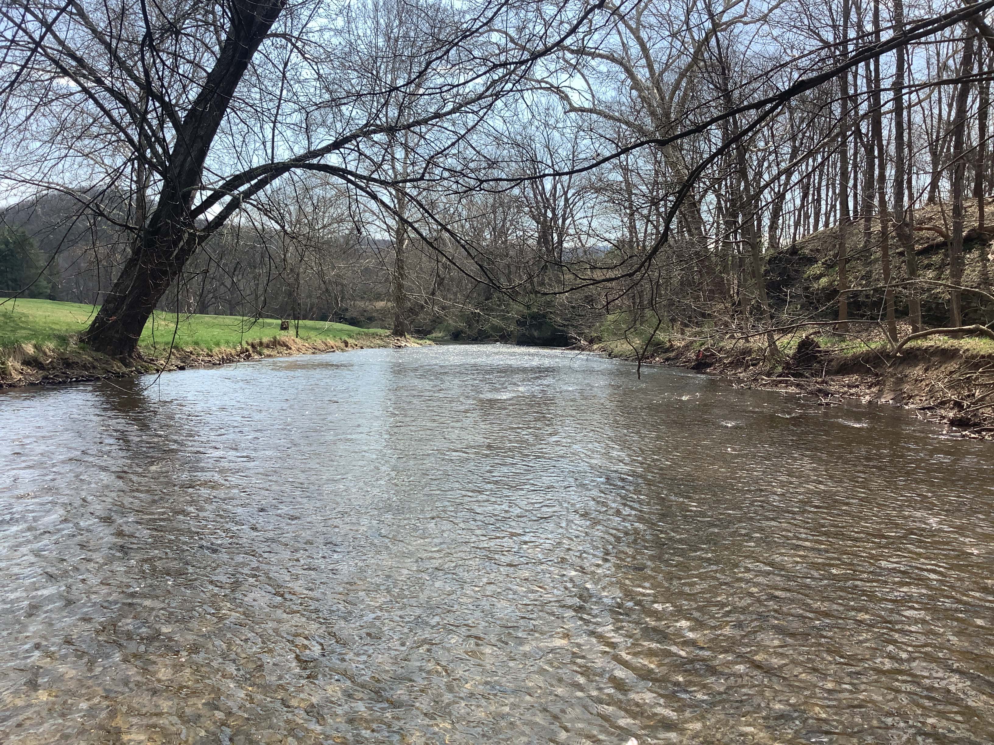Field photo showing stream conditions at site EVIT-522-R-2023_Midpoint_facing_downstream