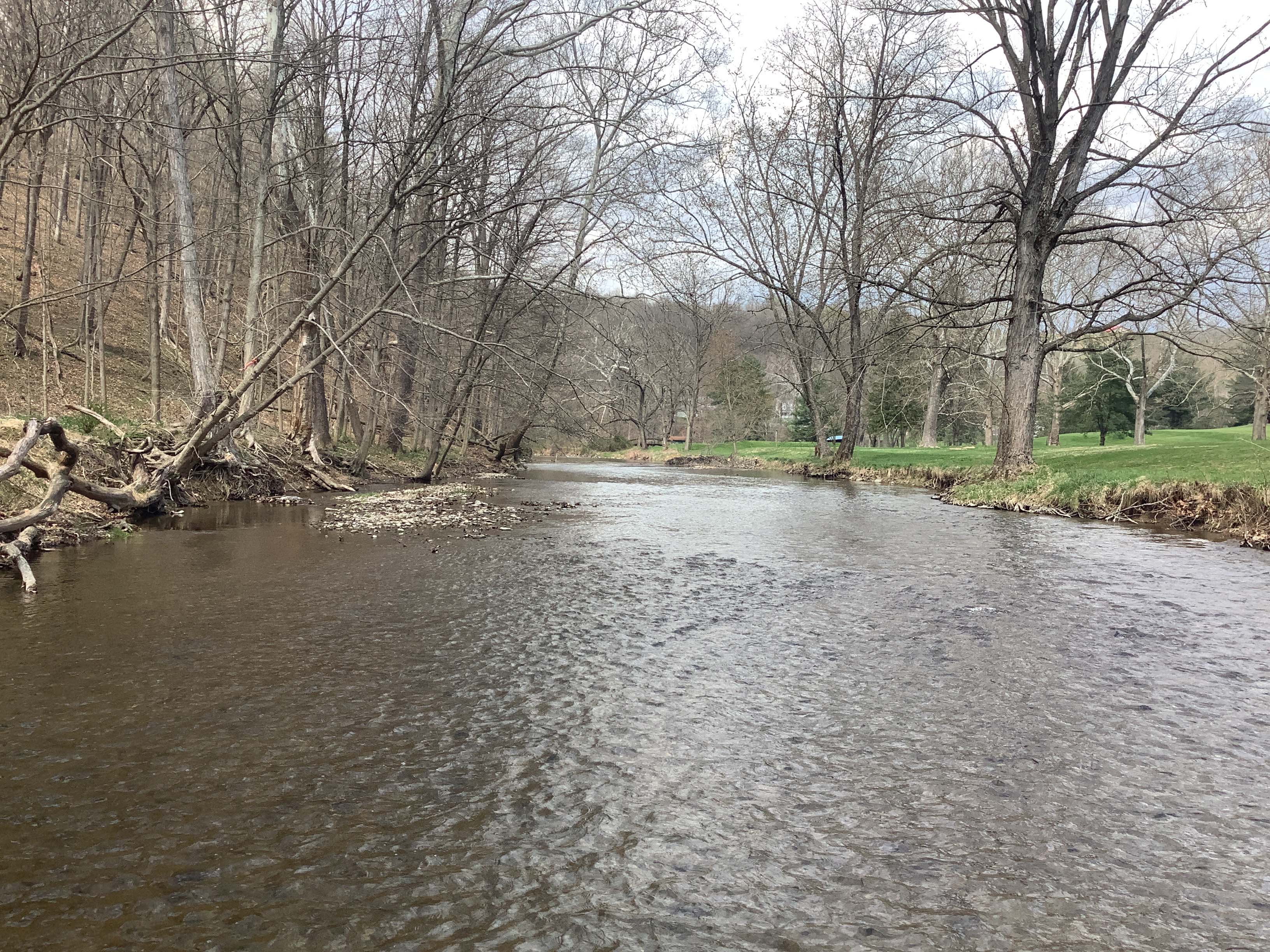 Field photo showing stream conditions at site EVIT-522-R-2023_Midpoint_facing_upstream