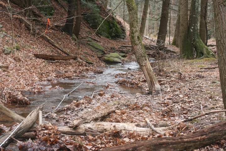 Field photo showing stream conditions at site FIMI-101-A-2009-1