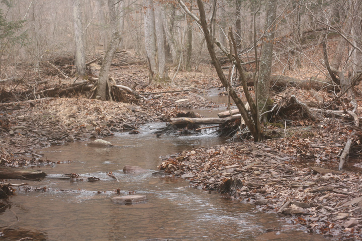 Field photo showing stream conditions at site FIMI-101-A-2009-2