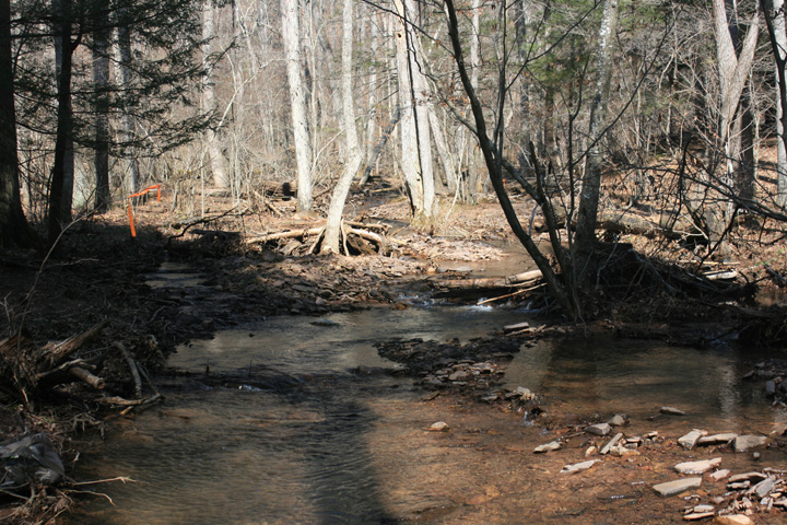 Field photo showing stream conditions at site FIMI-101-A-2010-1