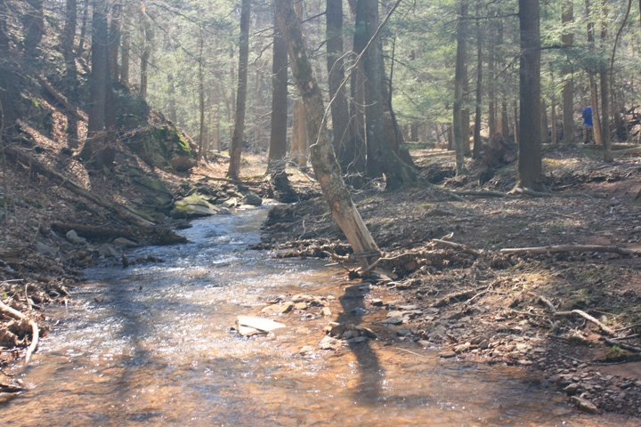 Field photo showing stream conditions at site FIMI-101-A-2010-2