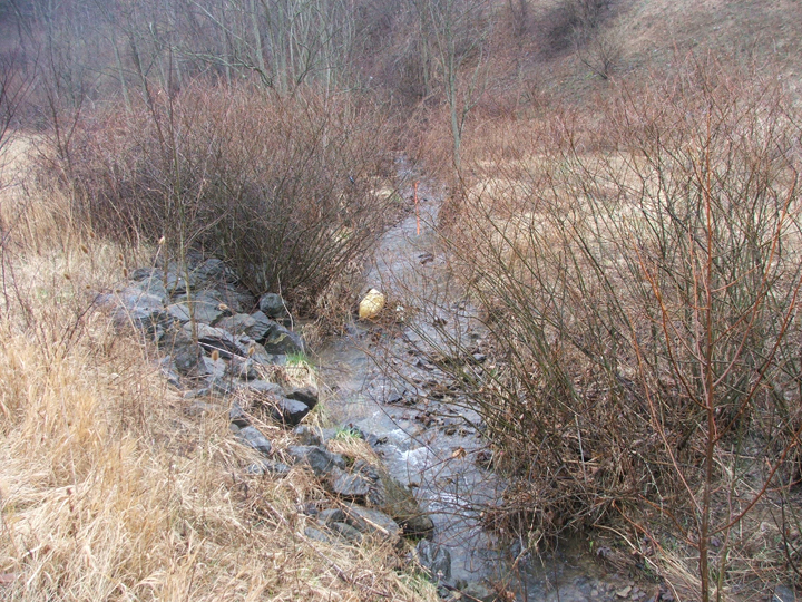 Field photo showing stream conditions at site FIMI-102-R-2008-1