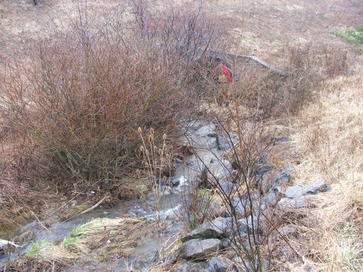 Field photo showing stream conditions at site FIMI-102-R-2008-2