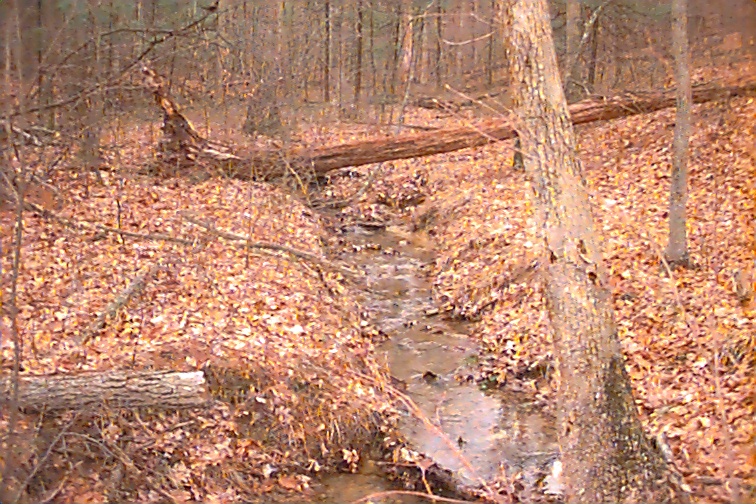 Field photo showing stream conditions at site FIMI-103-R-2000-01