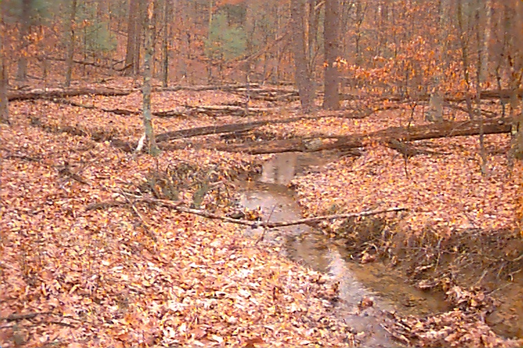 Field photo showing stream conditions at site FIMI-103-R-2000-02