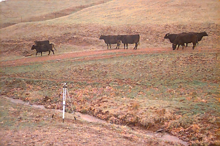 Field photo showing stream conditions at site FIMI-105-R-2000-02