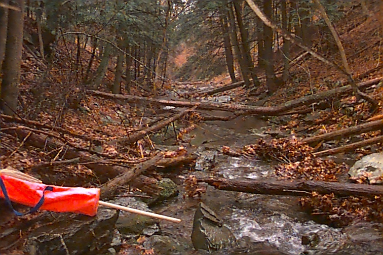 Field photo showing stream conditions at site FIMI-106-R-2000-02