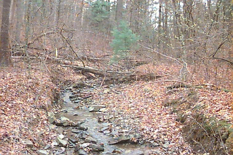 Field photo showing stream conditions at site FIMI-108-R-2000-02