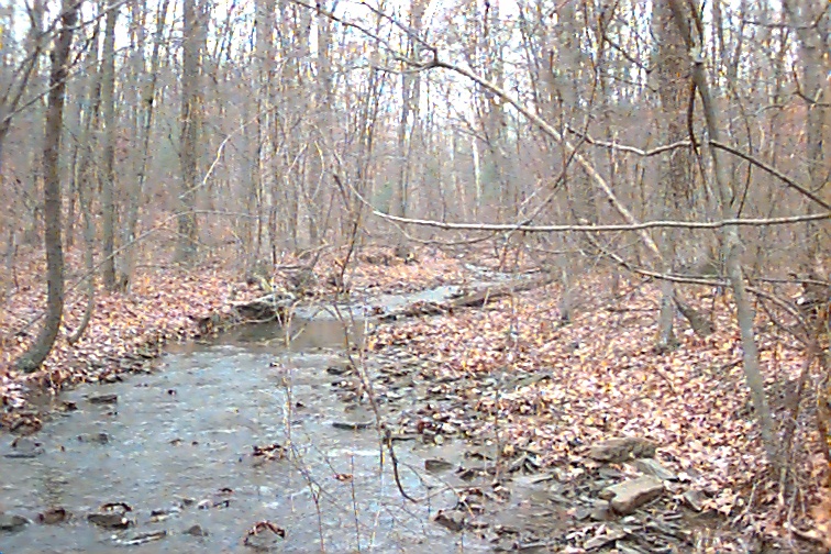 Field photo showing stream conditions at site FIMI-109-R-2000-02