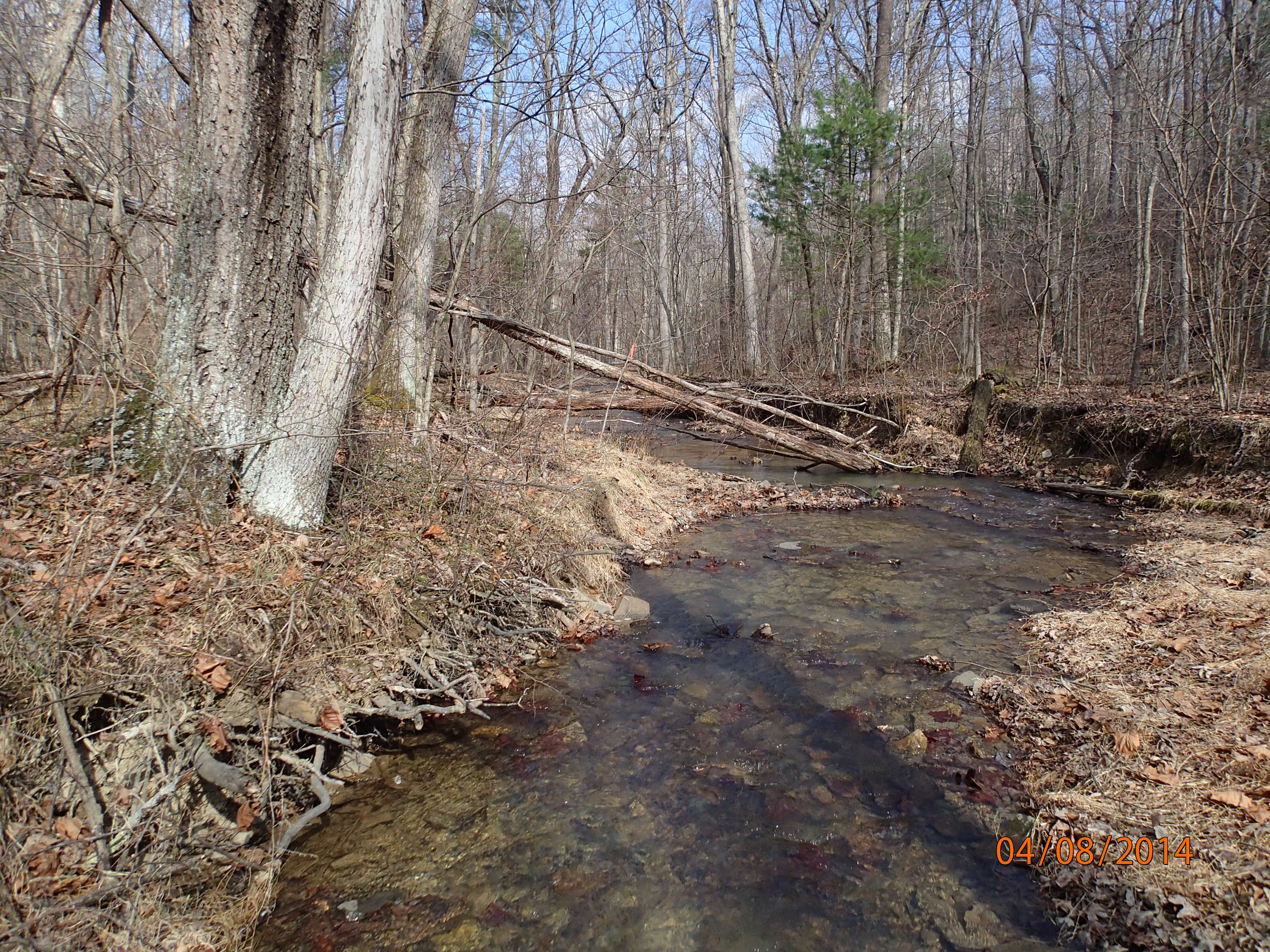 Field photo showing stream conditions at site FIMI-109-R-2014-MidpointDownstream