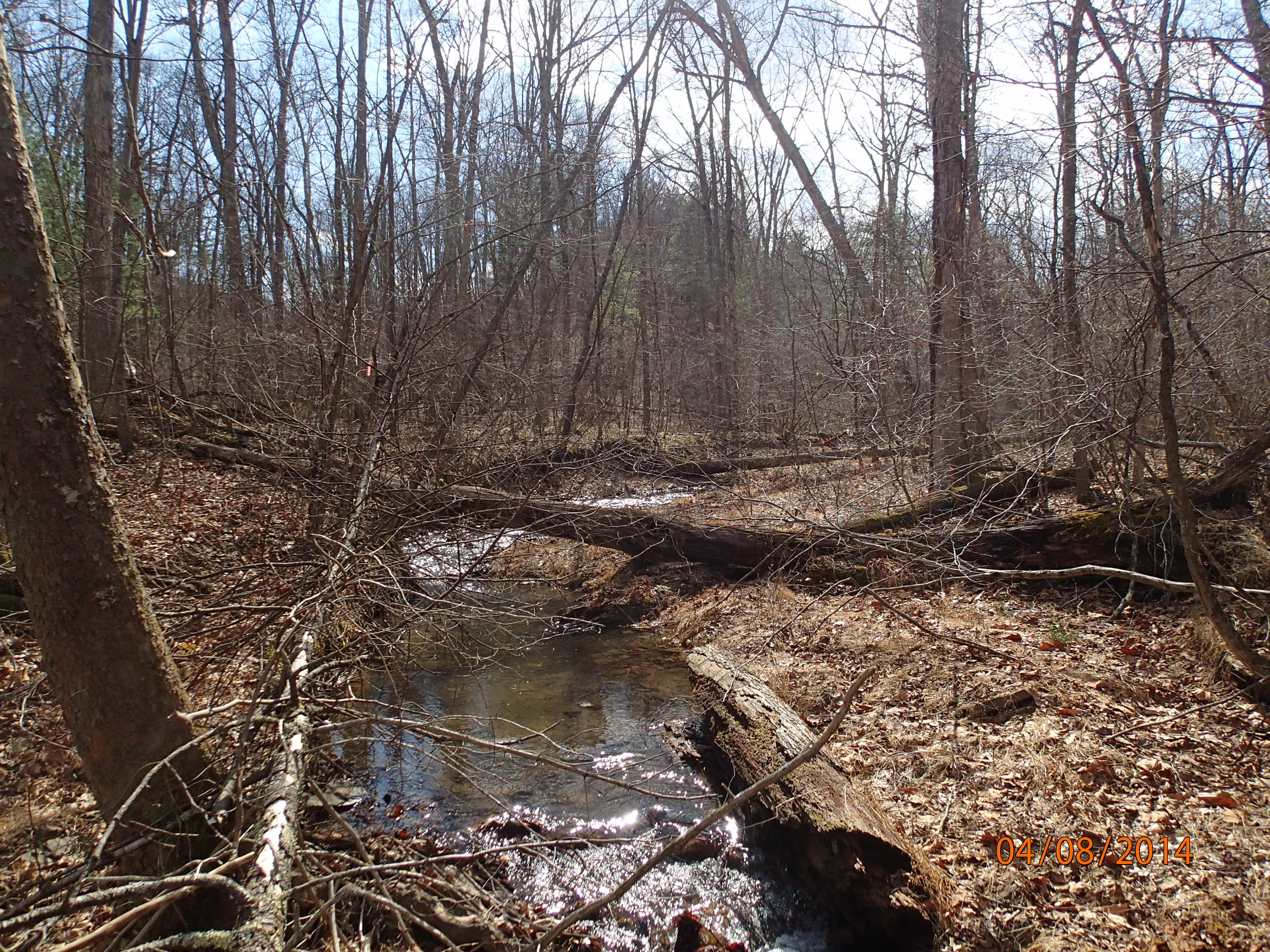Field photo showing stream conditions at site FIMI-109-R-2014-MidpointUpstream