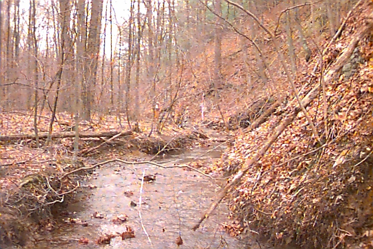 Field photo showing stream conditions at site FIMI-110-R-2000-02