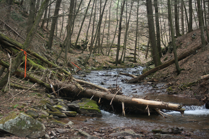 Field photo showing stream conditions at site FIMI-122-A-2010-1