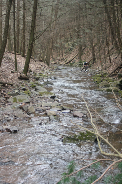 Field photo showing stream conditions at site FIMI-122-A-2010-2