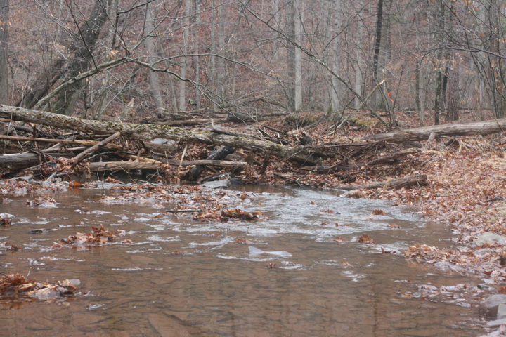 Field photo showing stream conditions at site FIMI-126-A-2009-1