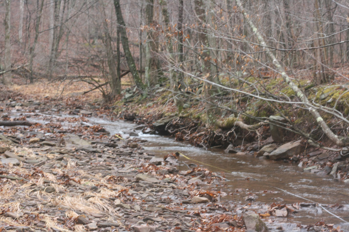 Field photo showing stream conditions at site FIMI-126-A-2009-2