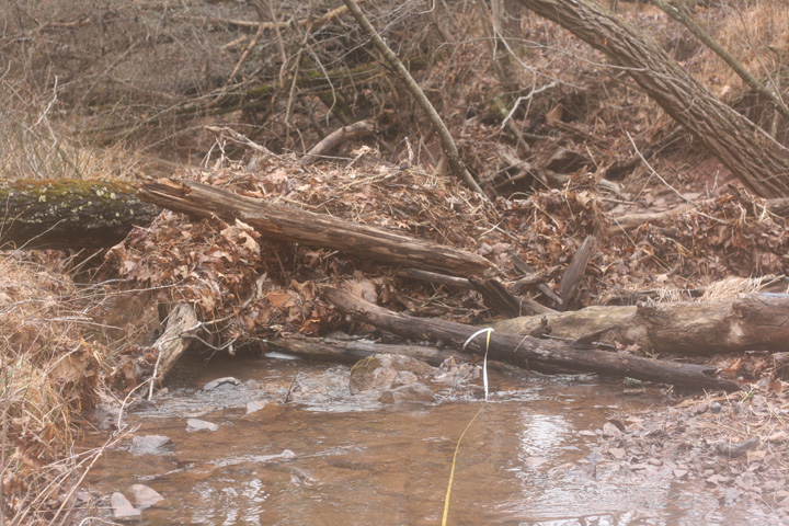 Field photo showing stream conditions at site FIMI-127-A-2009-1