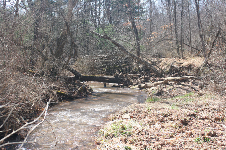 Field photo showing stream conditions at site FIMI-127-A-2010-2